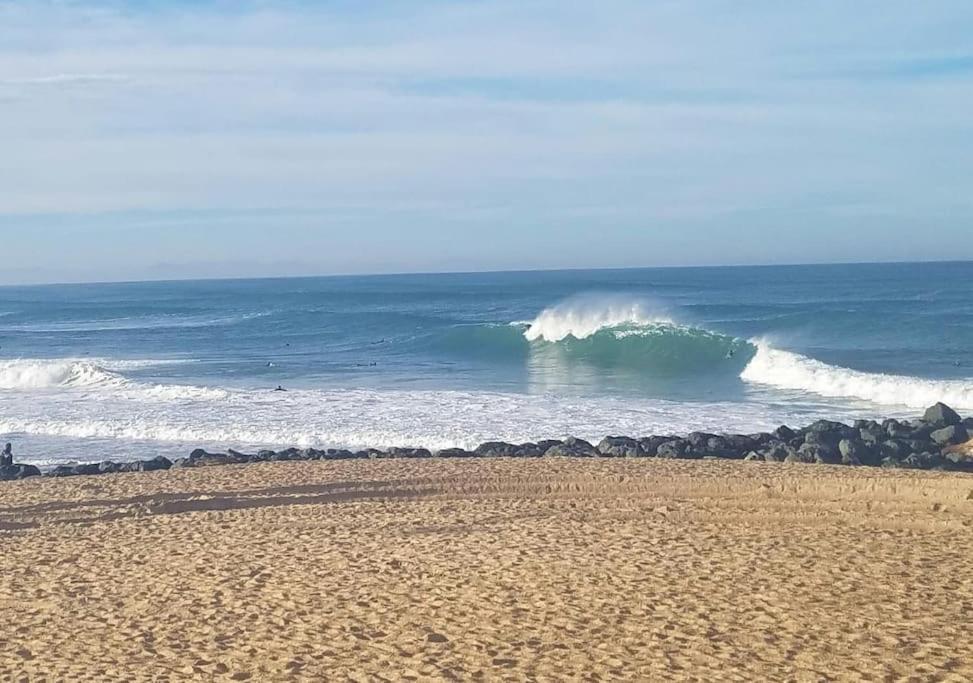 Appartement A 70M De La Plage Et L Estacade De Capbreton Eksteriør billede
